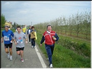 Alfonsine08_202