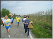 Alfonsine08_203