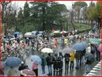 Firenze08_116