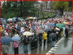Firenze08_208