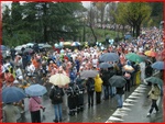 Firenze08_227