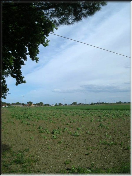 Pisignano_35