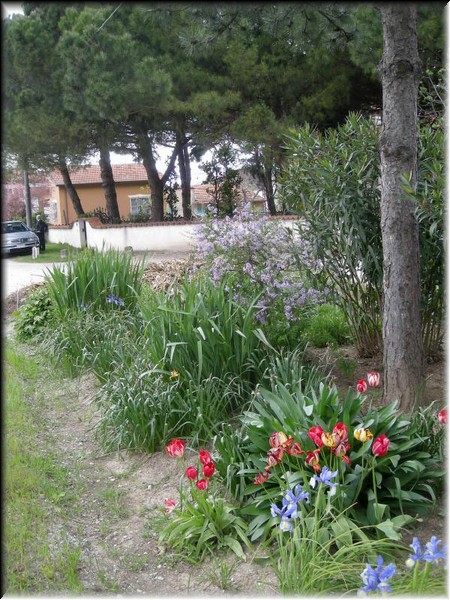 Pisignano_68