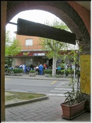 Pisignano_70