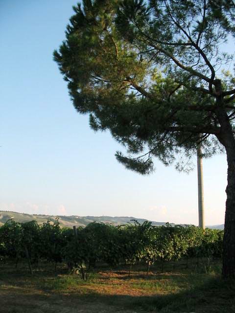 san_lorenzo_011