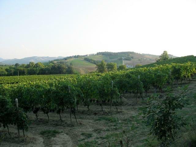 san_lorenzo_017