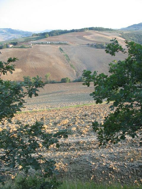 san_lorenzo_021