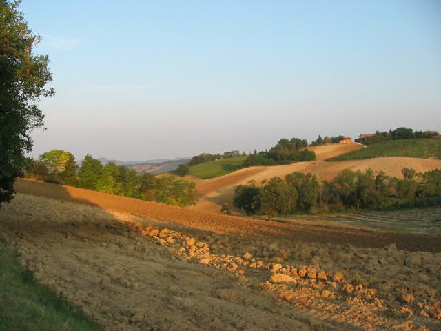 san_lorenzo_031