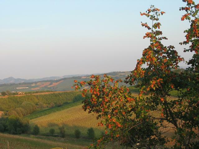 san_lorenzo_035