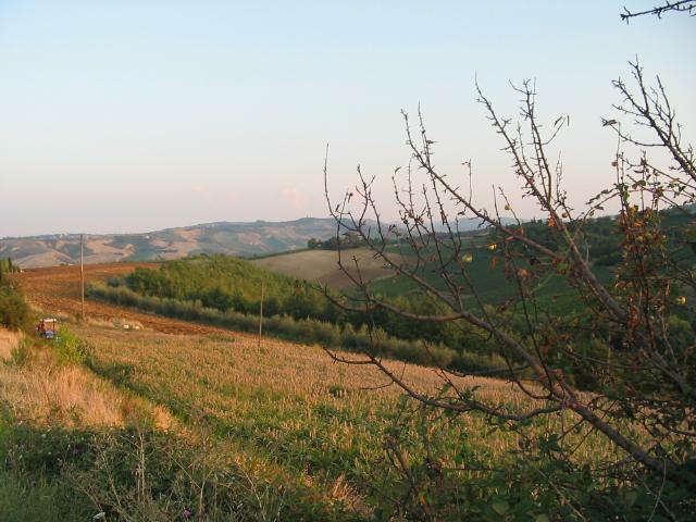 san_lorenzo_037