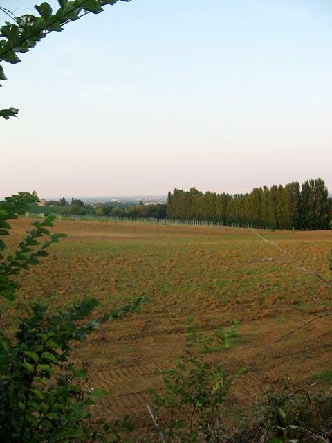 san_lorenzo_040