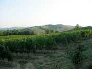 san_lorenzo_017