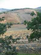 san_lorenzo_021