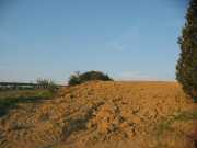 san_lorenzo_027