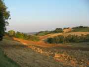 san_lorenzo_031