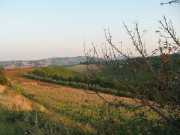 san_lorenzo_037