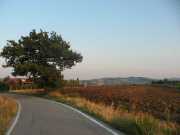 san_lorenzo_039
