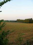 san_lorenzo_040