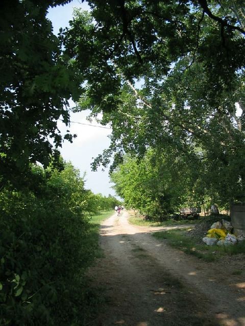santalucia_28