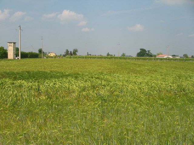 santalucia_34