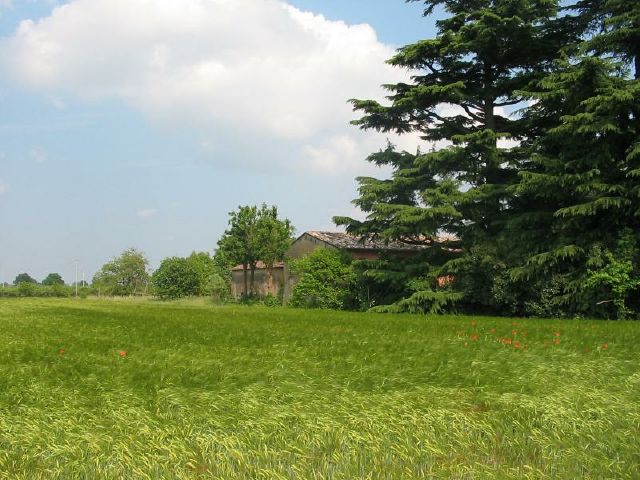 santalucia_36