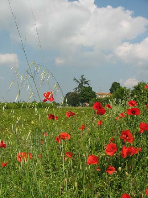 santalucia_37