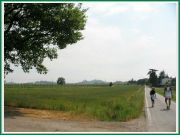 santalucia_11