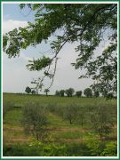 santalucia_14