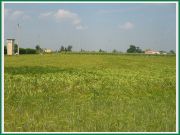 santalucia_34