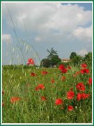 santalucia_37