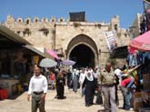 DSC01168
