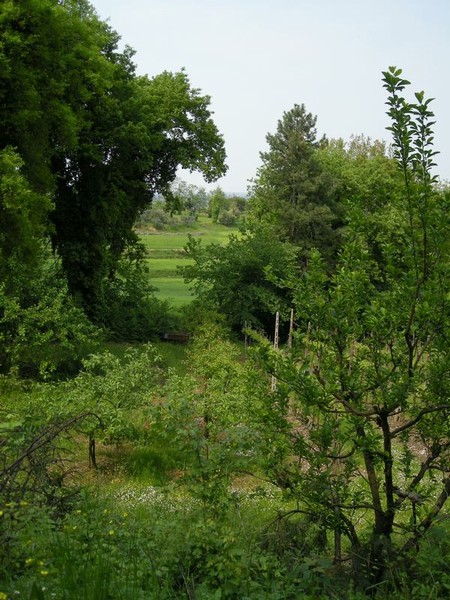 sanl_09 008