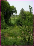 sanl_09 008