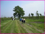 sanl_09 017