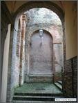 IMG_8608