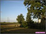CastelB10_011