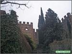 P1170026