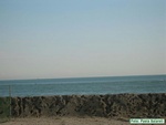 IMG_2210