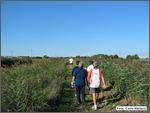 IMG_9257