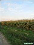 IMG_6276