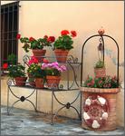 Rimini10_071