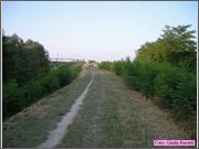 Russi_008