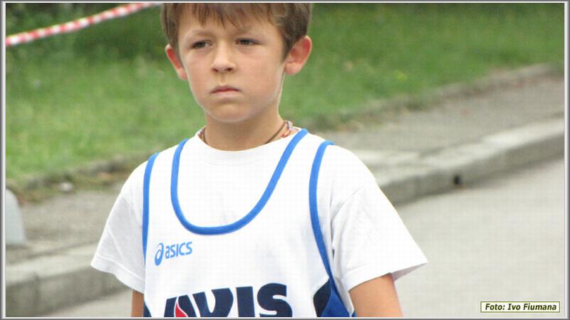 avis 036