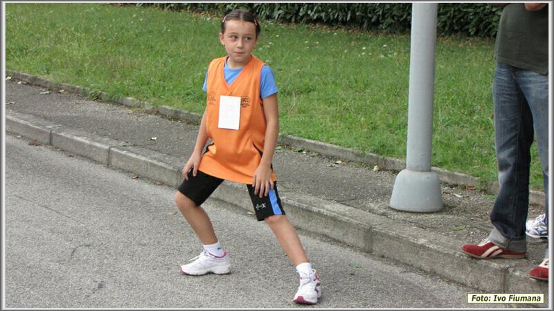 avis 068