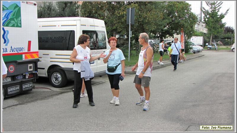 avis 074