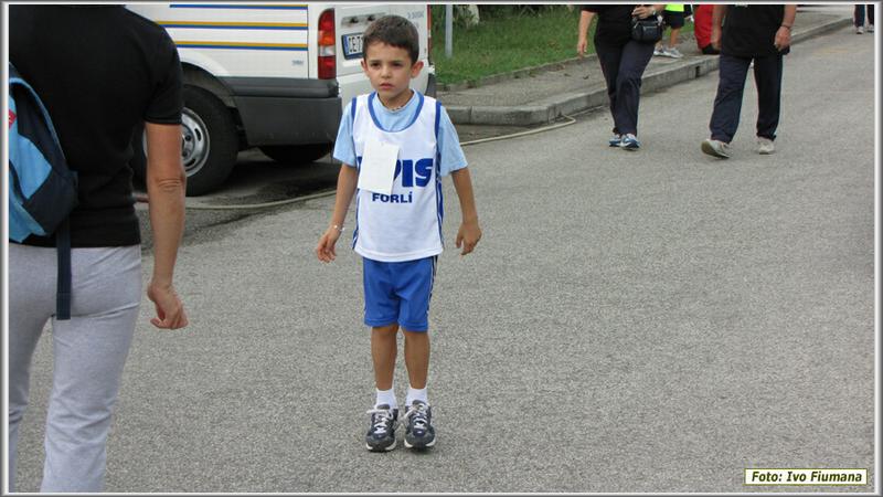 avis 082