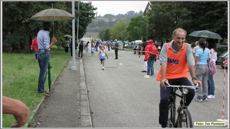 avis 191