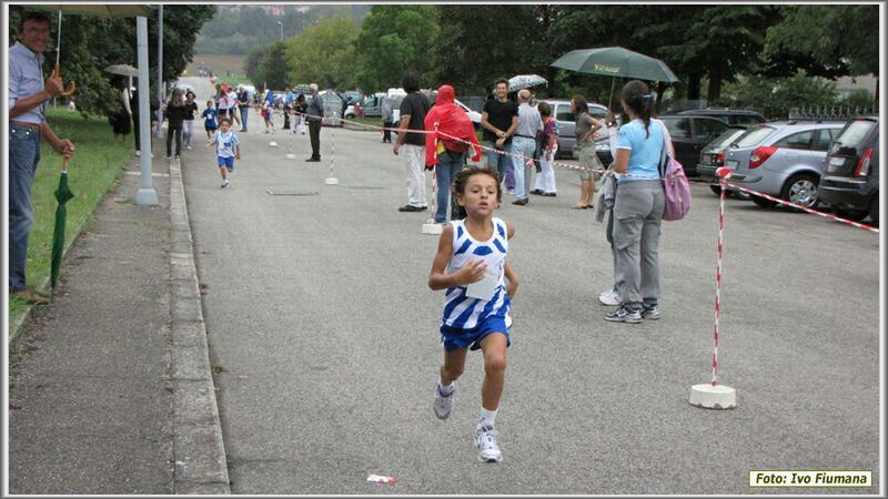 avis 196