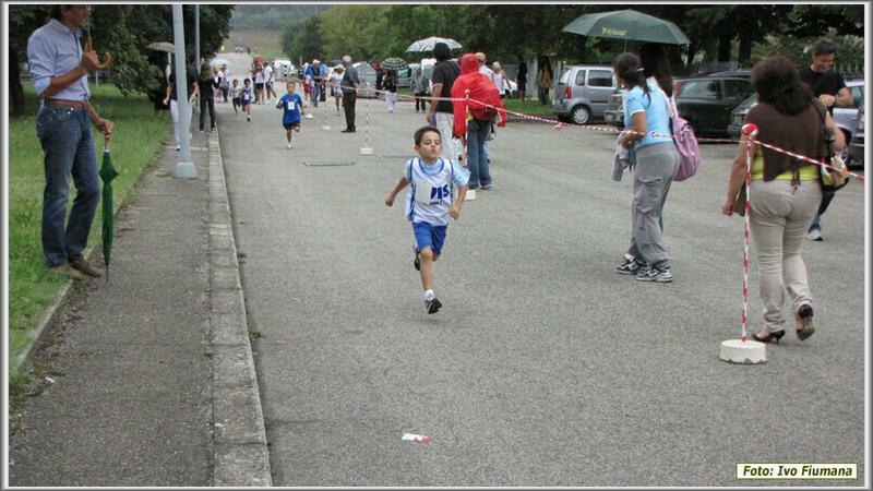 avis 201