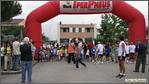 avis 174